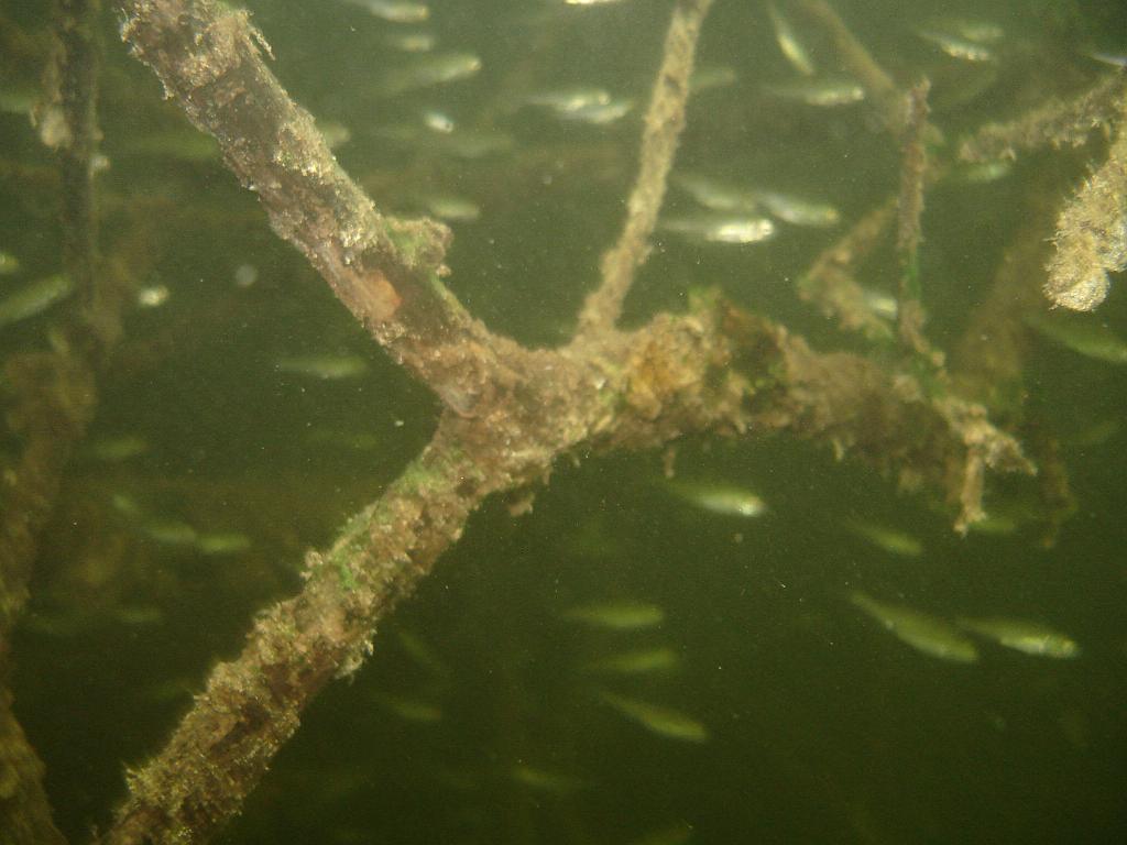 2008-06-29 11-13-44 H.JPG
